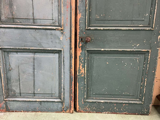 19th Century Double Interior Fir Door from a Manor