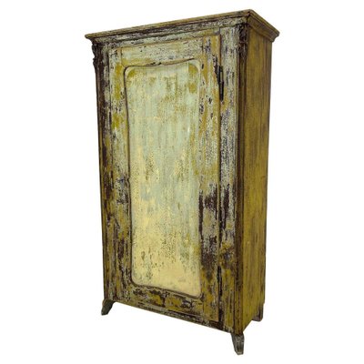 19th Century European Food Cabinet-TZ-1356847