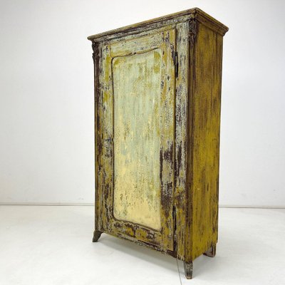 19th Century European Food Cabinet-TZ-1356847