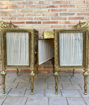 19th Century French Bronze Vitrine Nightstands with Glass Doors and Brass Drawers, Set of 2-NOU-1057879