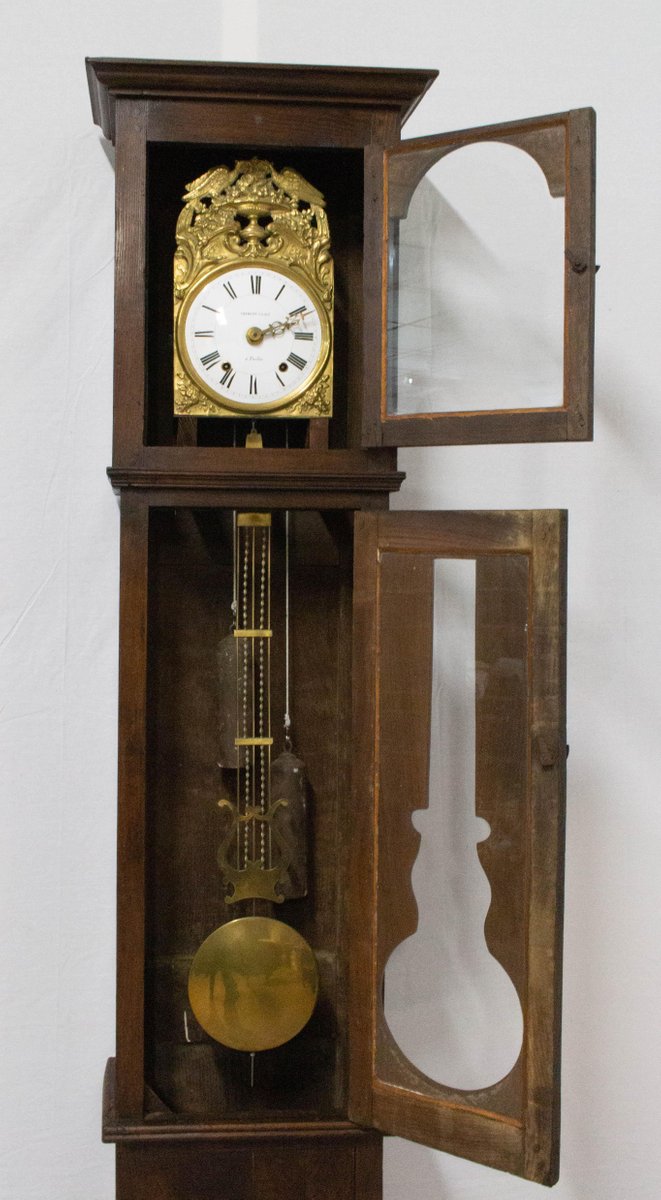 19th-Century French Longcase or Grandfather Clock