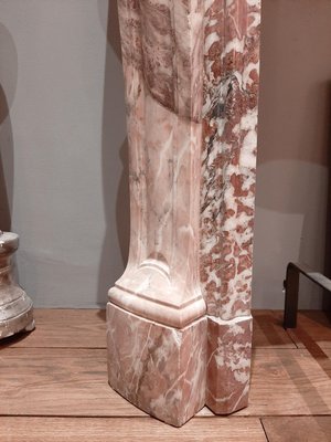 19th Century French Pink Marble Mantelpiece-TDA-1376446