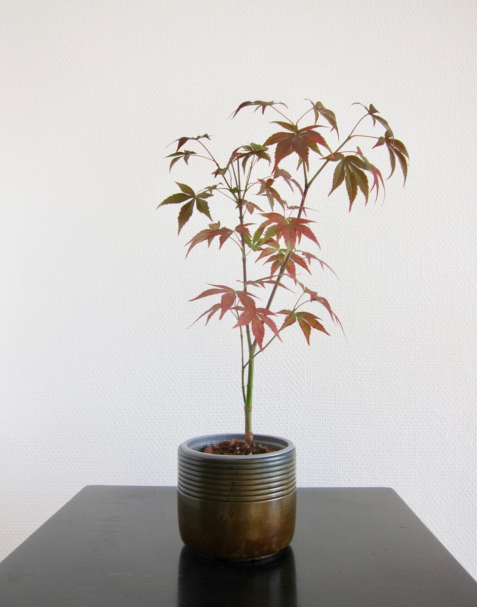 19th Century Japanese Bronze Pencil Bowl and Planter, 1890s