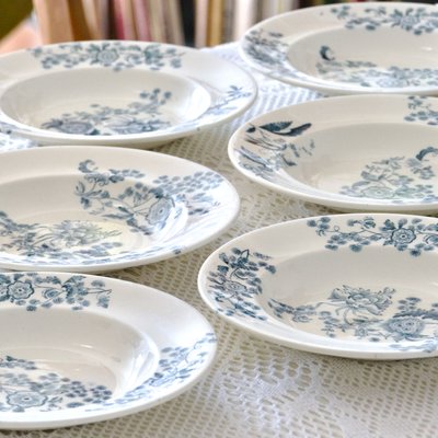 19th Century Longwy Plates Ycho Blue Iron Clay, 1885, Set of 6-SHG-2021714