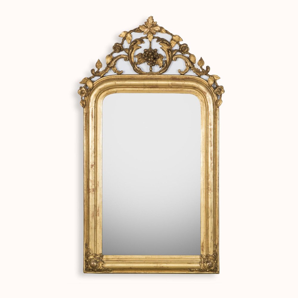 19th Century Louis Philippe Mirror with Foliage and Grape Motifs