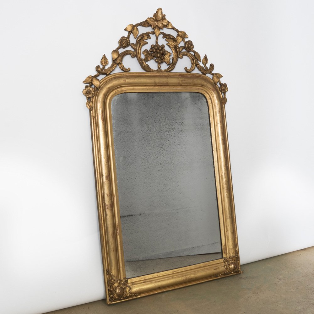 19th Century Louis Philippe Mirror with Foliage and Grape Motifs