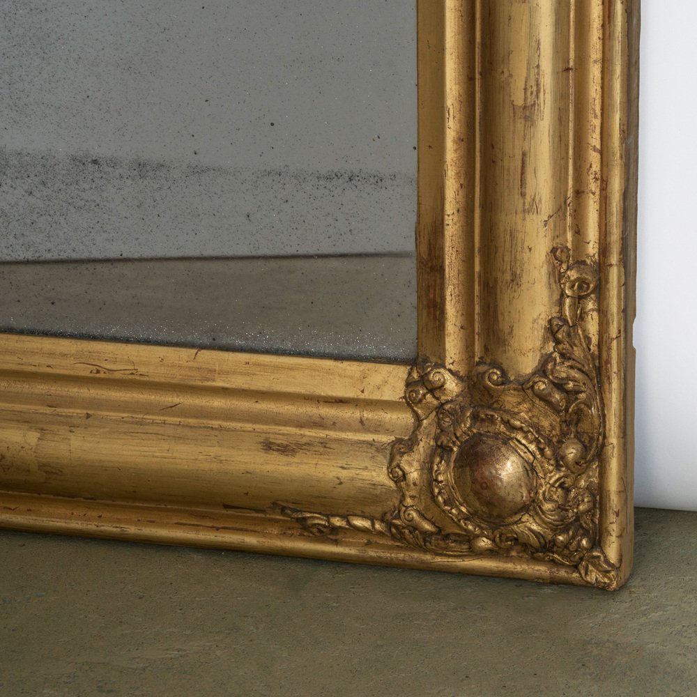 19th Century Louis Philippe Mirror with Foliage and Grape Motifs