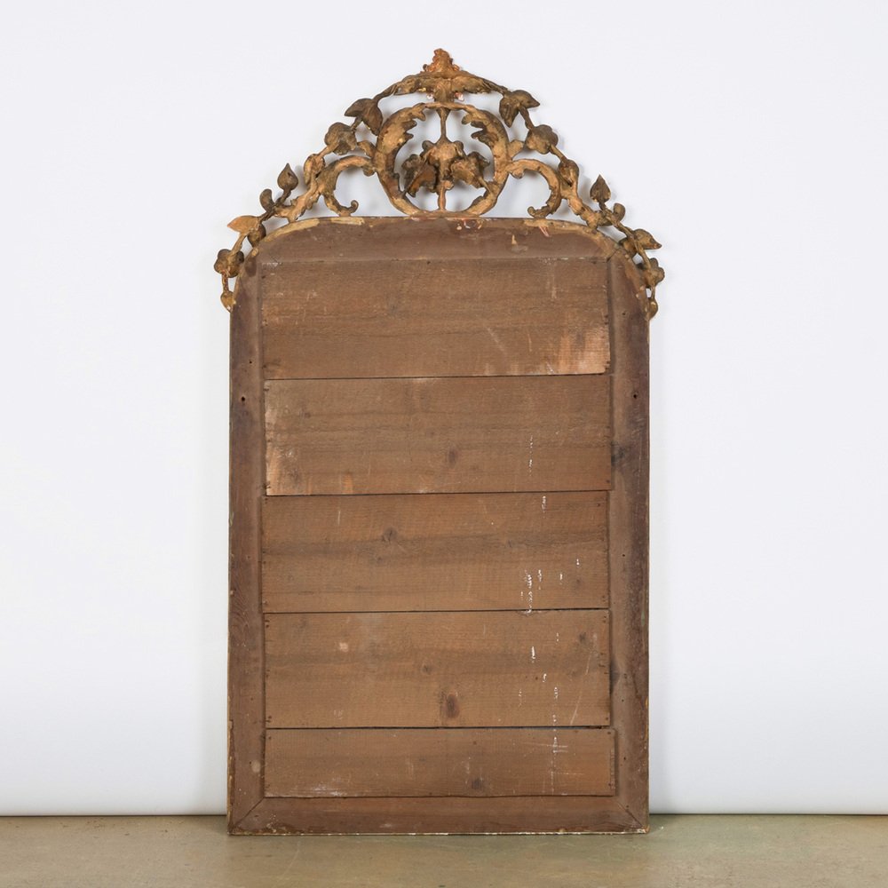 19th Century Louis Philippe Mirror with Foliage and Grape Motifs