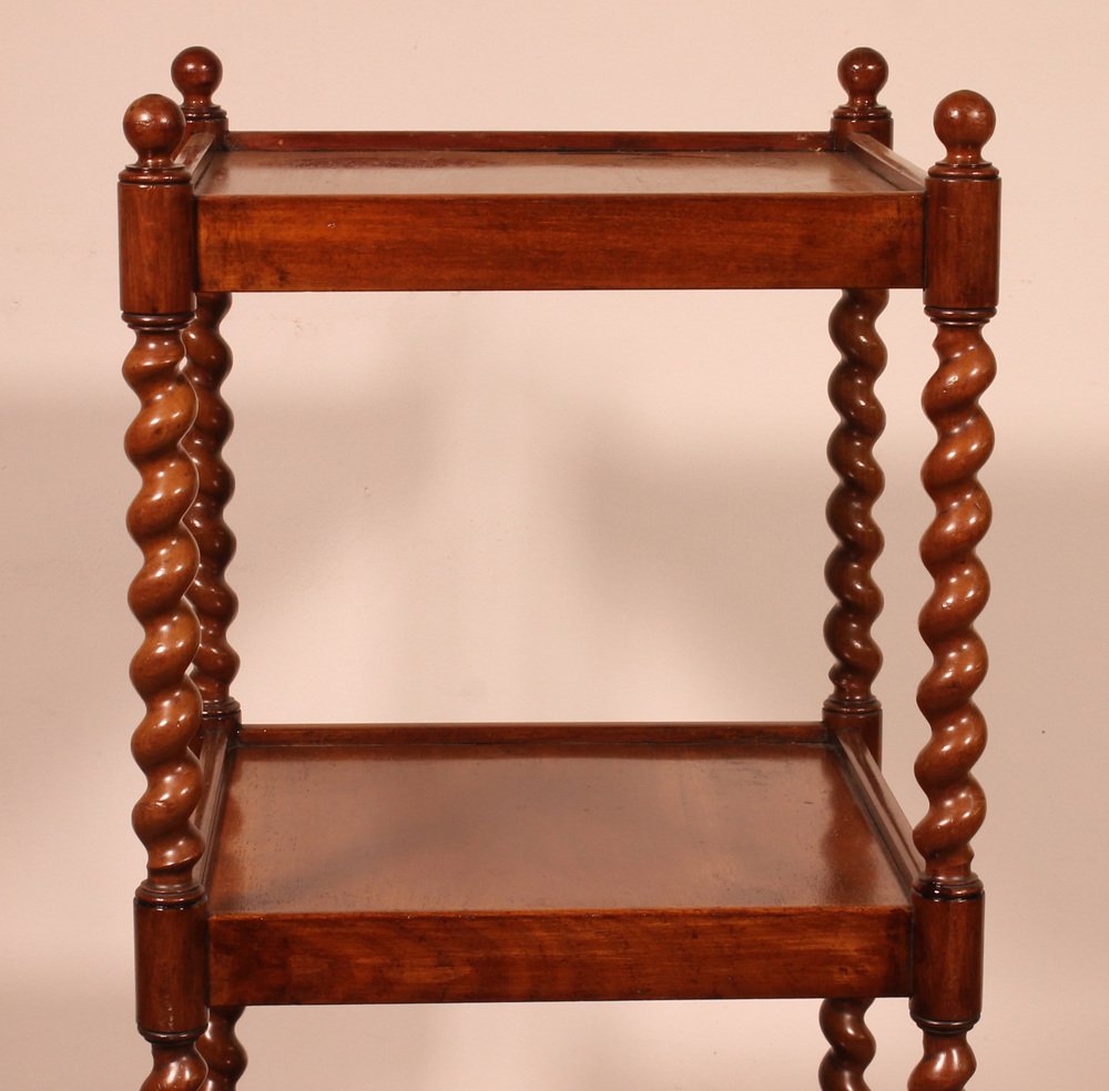 19th Century Mahogany Shelf Called Whatnut