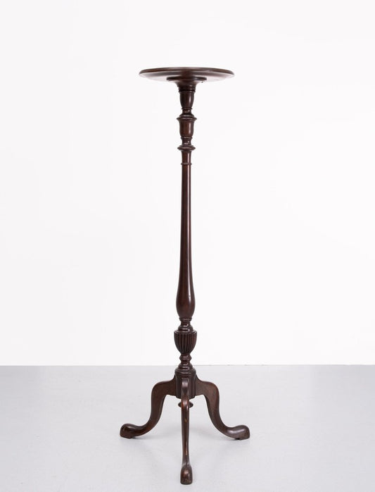 19th Century Mahogany Tall Stand, 1850s