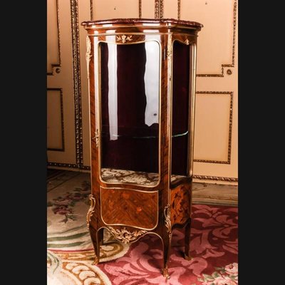 19th Century Napoleon III Cabinet-FLW-1402326