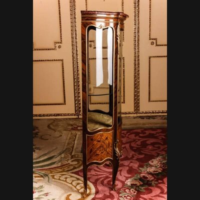 19th Century Napoleon III Cabinet-FLW-1402326