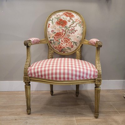 19th Century Napoleon III Louis XVI Armchair and Chair, France, Set of 2-NUC-2035323