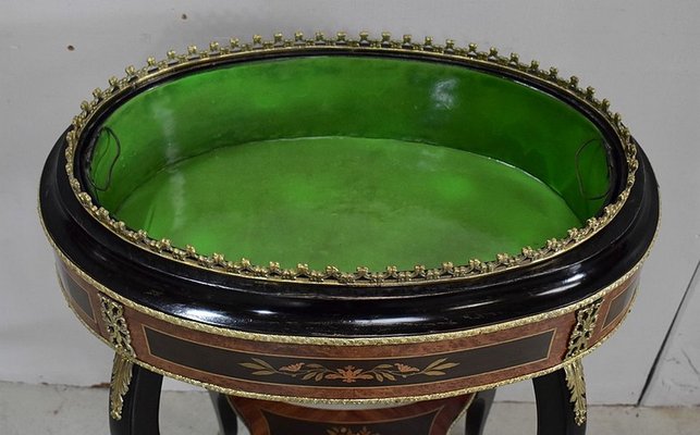 19th Century Napoleon III Rosewood, Thuja Veneer & Blackened Wood Inlaid Planter-RVK-785797