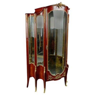 19th Century Napoleon III Style Mahogany Vitrine, 1890s-FLW-1401823