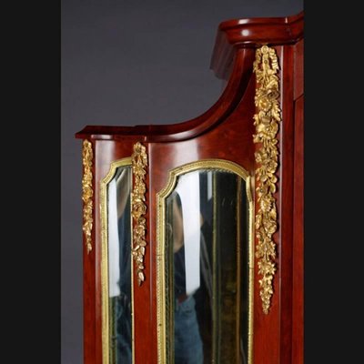 19th Century Napoleon III Style Mahogany Vitrine, 1890s-FLW-1401823