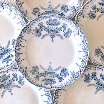 19th Century Plates Regence Iron Earth Collection from St Amand, 1879, Set of 6-SHG-2034680