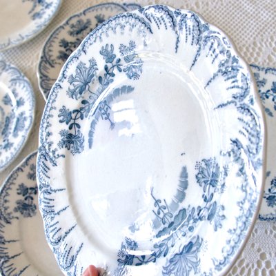 19th Century Plates Regence Iron Earth Collection from St Amand, 1879, Set of 6-SHG-2034680