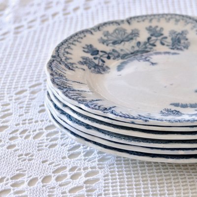 19th Century Plates Regence Iron Earth Collection from St Amand, 1879, Set of 6-SHG-2034680