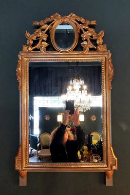 19th Century Rococo Style French Giltwood Mirror-QRS-674546