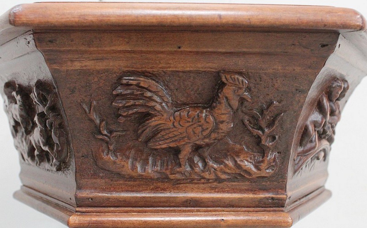 19th Century Sculptural Chestnut Planter