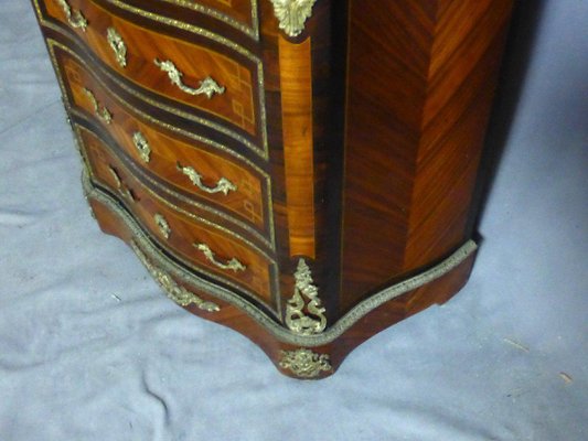 19th Century Semiade Secretary-WSV-1111284