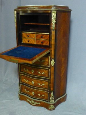 19th Century Semiade Secretary-WSV-1111284