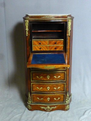 19th Century Semiade Secretary-WSV-1111284