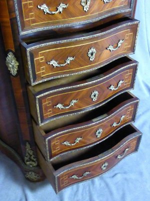 19th Century Semiade Secretary-WSV-1111284