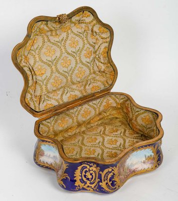 19th Century Sèvres Porcelain Box and Chest-WFS-1806521