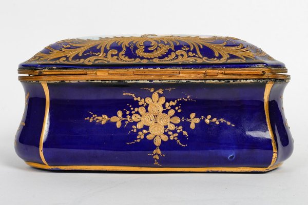 19th Century Sèvres Porcelain Box and Chest-WFS-1806521