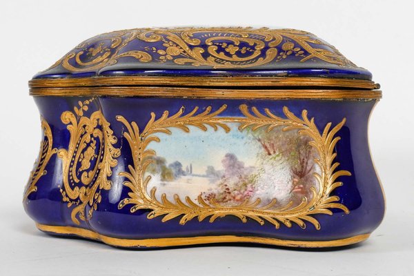 19th Century Sèvres Porcelain Box and Chest-WFS-1806521