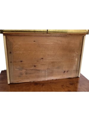 19th Century Walnut Chest with a Drawer-TCS-1358116