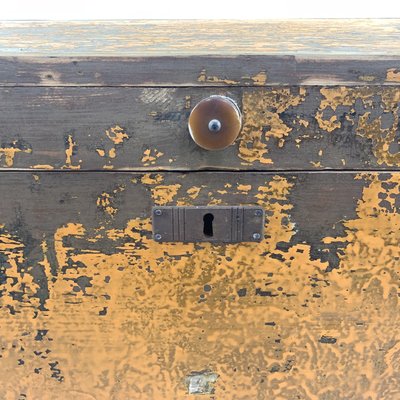 19th Century Wooden Chest or Floor Trunk in Original Paint-TZ-780148