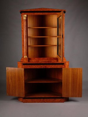 20th Century Biedermeier Style Corner Cabinet-FLW-1401907