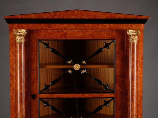 20th Century Biedermeier Style Corner Cabinet-FLW-1401907