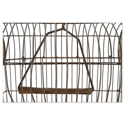 20th Century Bird Cage-NQ-1793304