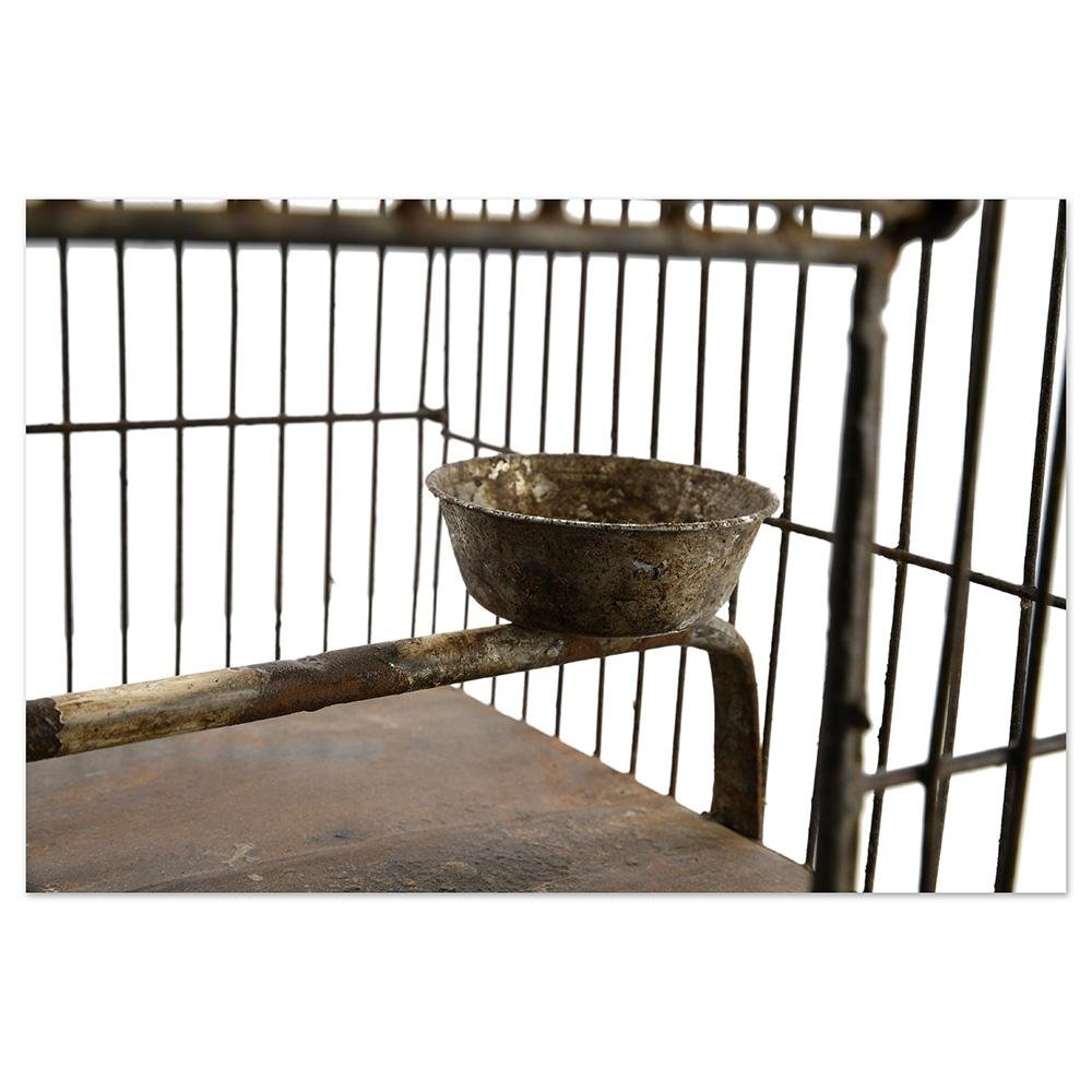 20th Century Bird Cage