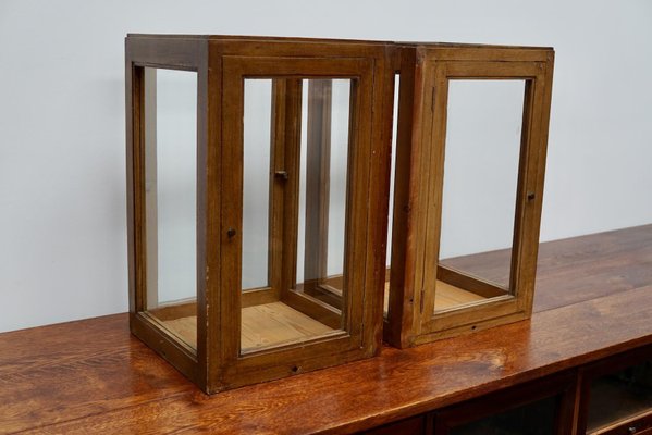 20th Century Dutch Pine Faux Oak Paint Vitrines, Set of 2-XO-1330949