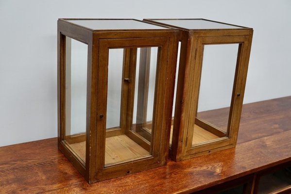 20th Century Dutch Pine Faux Oak Paint Vitrines, Set of 2-XO-1330949