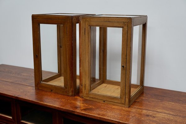 20th Century Dutch Pine Faux Oak Paint Vitrines, Set of 2-XO-1330949