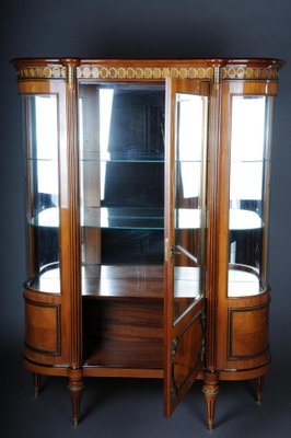 20th Century French Louis XVI Style Display Cabinet-FLW-1402194