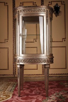 20th Century Louis XVI French Salon Vitrine-FLW-1402277