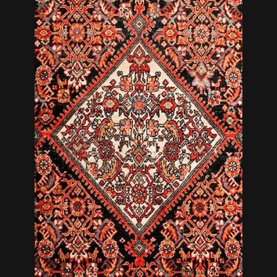 20th Century Middle Eastern Senna Rug-FLW-1401921