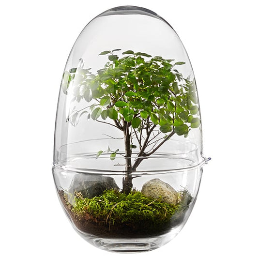 Grow mini greenhouse by Design House Stockholm #L #