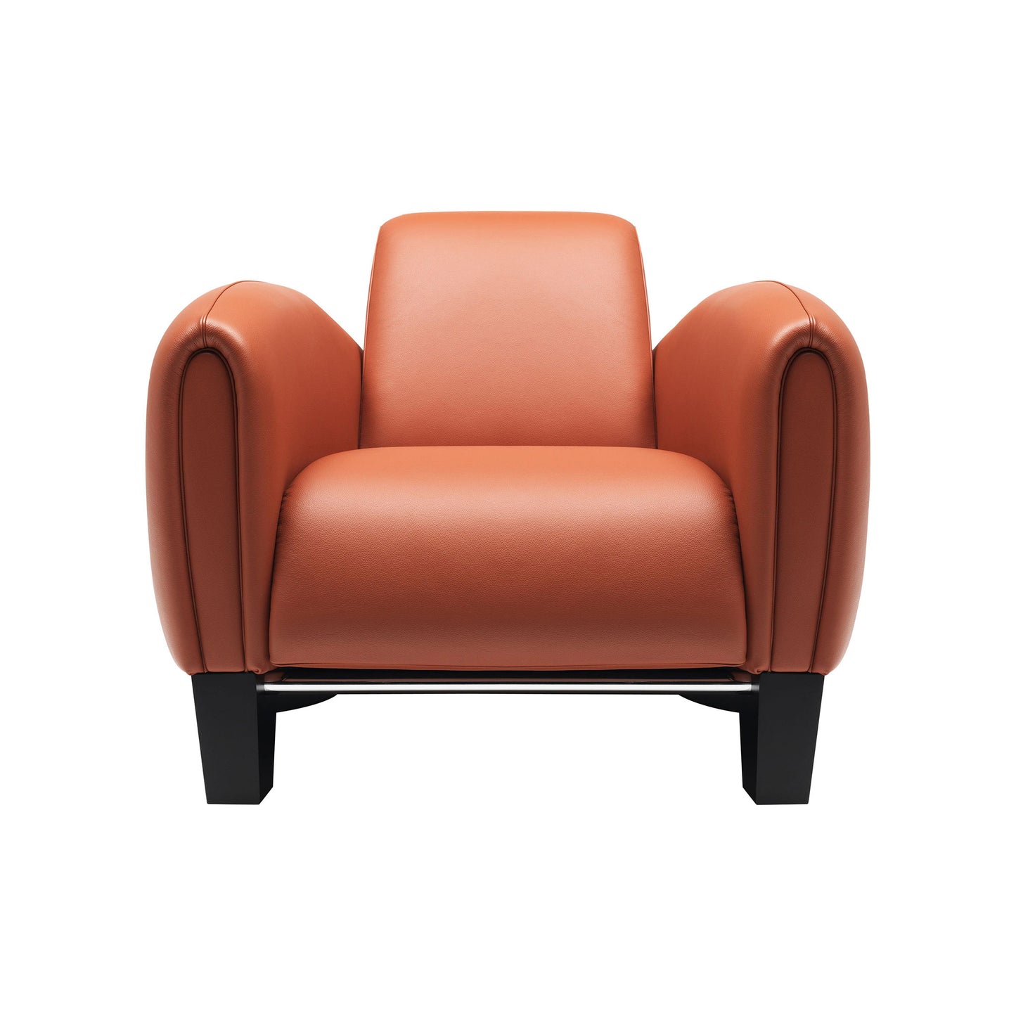 Ds-57 - Leather Armchair by De Sede