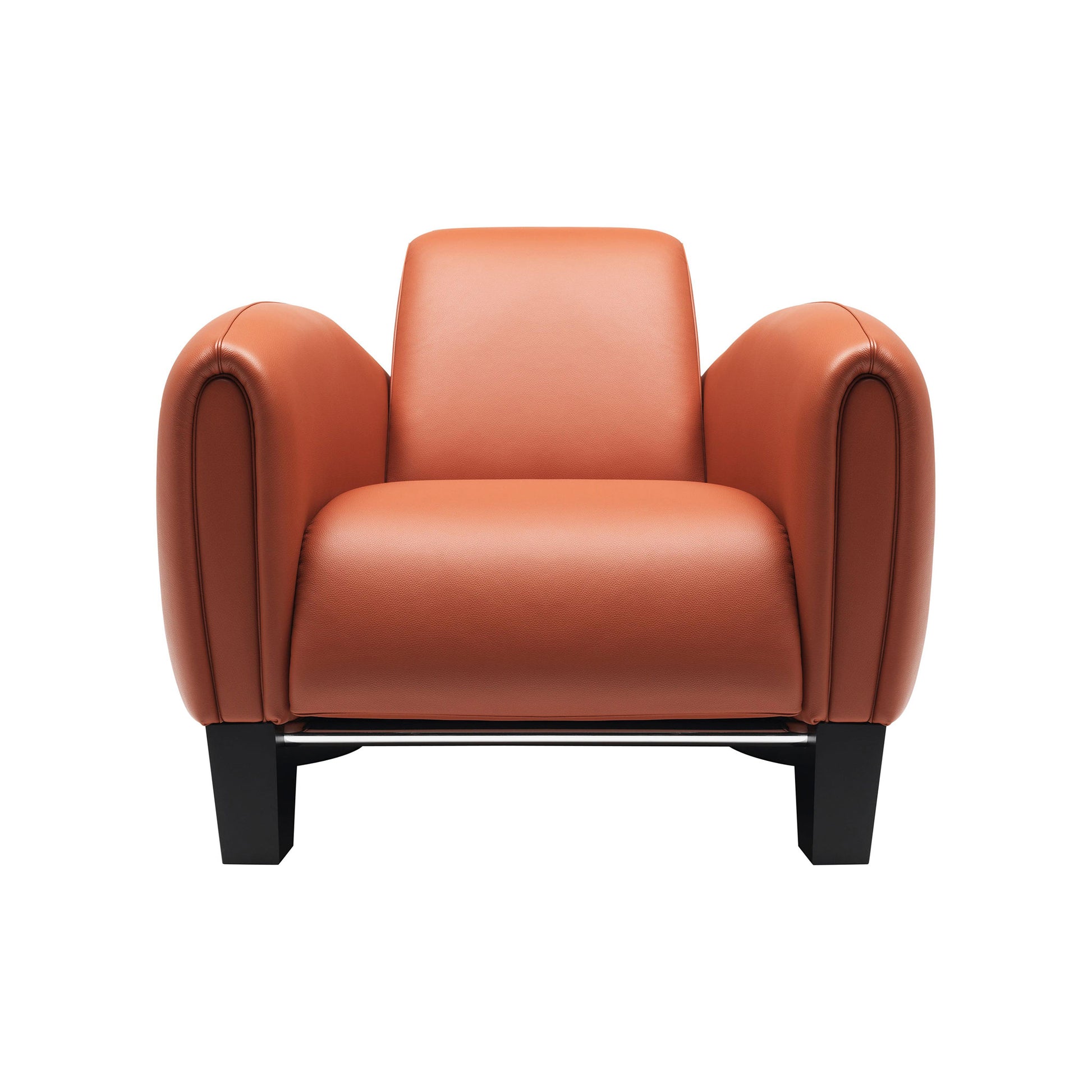 Ds-57 - Leather Armchair by De Sede