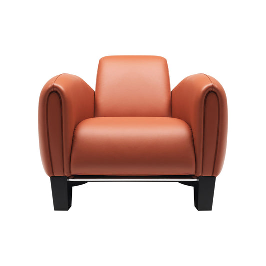 Ds-57 - Leather Armchair by De Sede