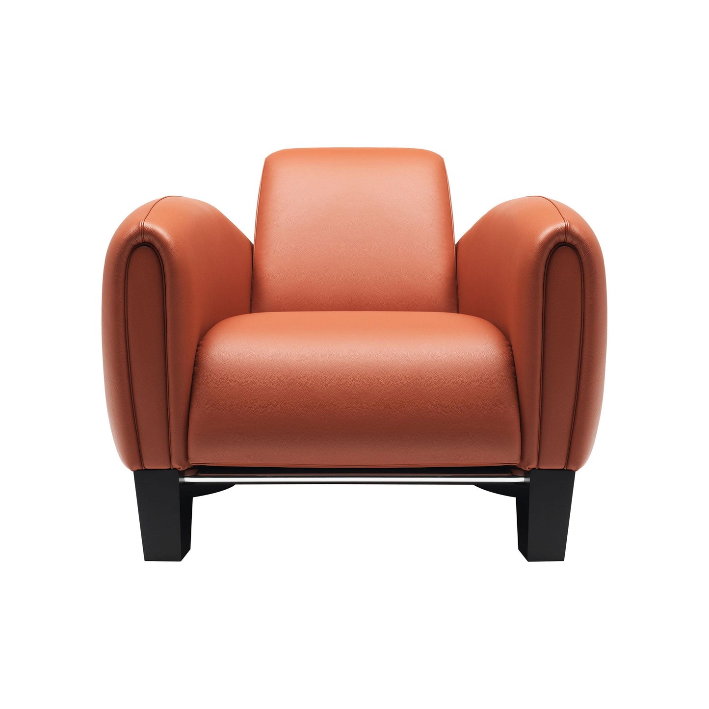 Ds-57 - Leather Armchair by De Sede