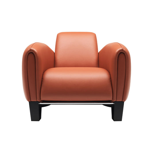 Ds-57 - Leather Armchair by De Sede